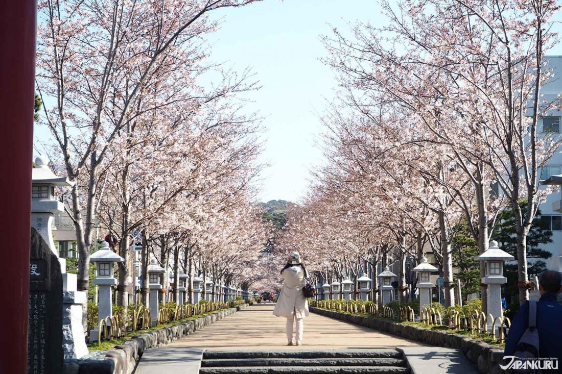 ⛩️ 미쓰키 하치만구 신사 (미쓰키하치만구) 이미지 6